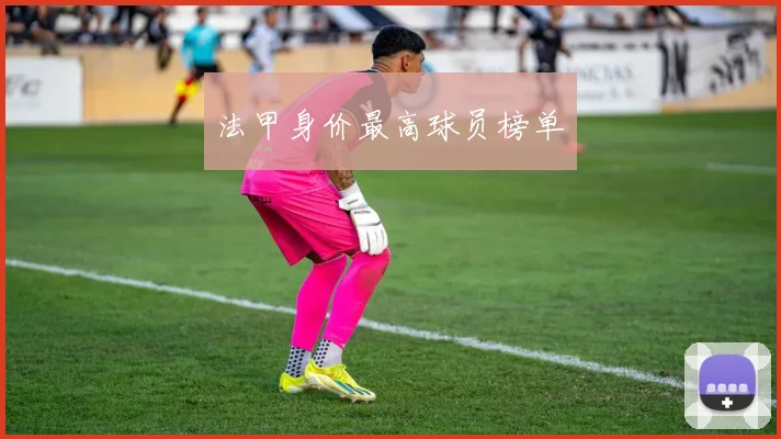 法甲身价最高球员榜单