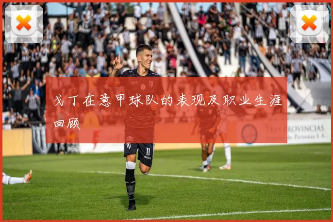 戈丁在意甲球队的表现及职业生涯回顾