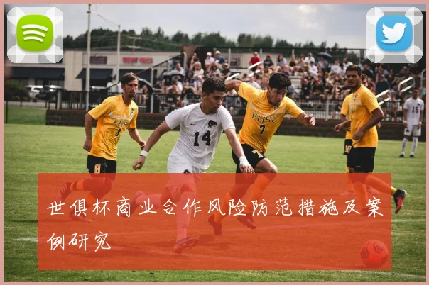 世俱杯商业合作风险防范措施及案例研究